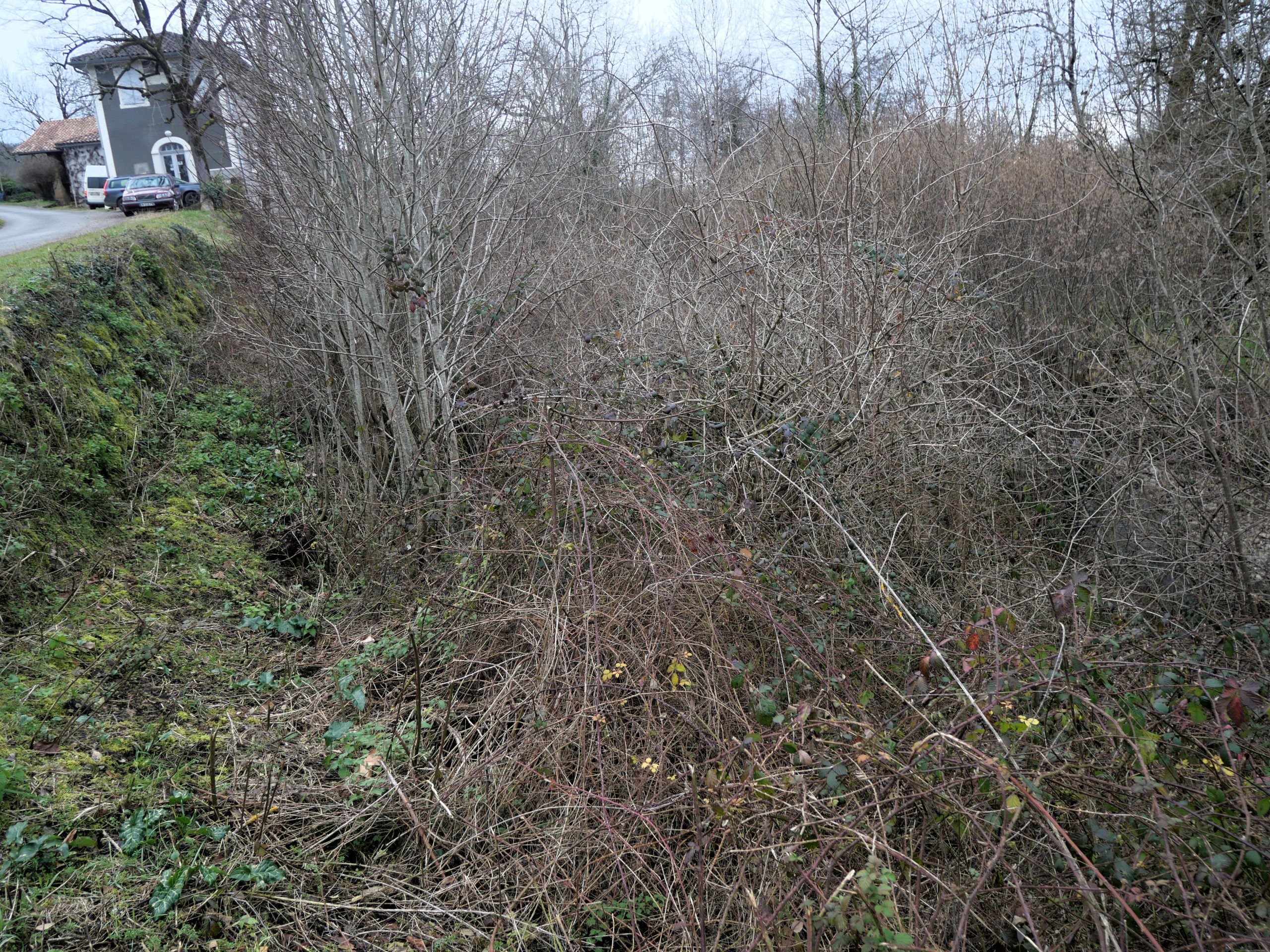 Le terrain tel qu'il était avant le chantier.